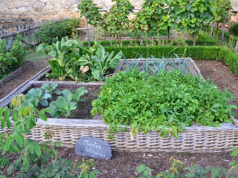 Local Food Initiative